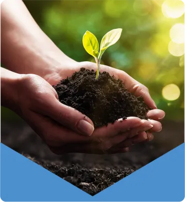 Ilustração da Valência